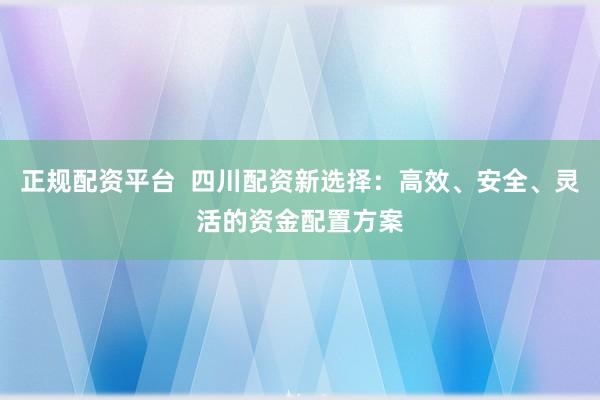 正规配资平台  四川配资新选择：高效、安全、灵活的资金配置方案