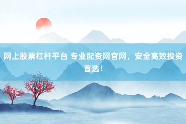 网上股票杠杆平台 专业配资网官网，安全高效投资首选！