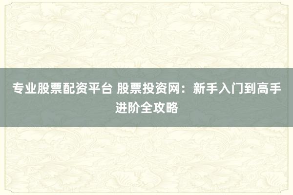 专业股票配资平台 股票投资网：新手入门到高手进阶全攻略