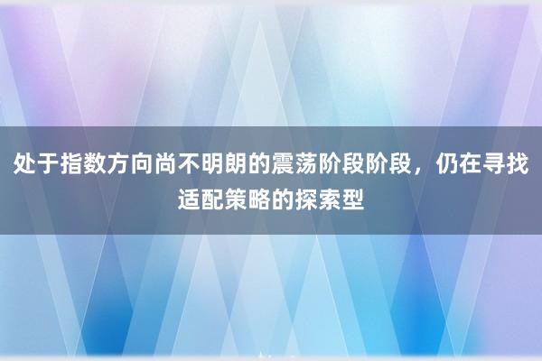 处于指数方向尚不明朗的震荡阶段阶段，仍在寻找适配策略的探索型