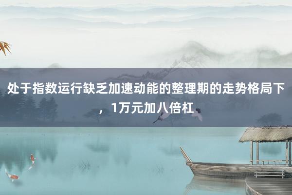 处于指数运行缺乏加速动能的整理期的走势格局下,1万元加八倍杠