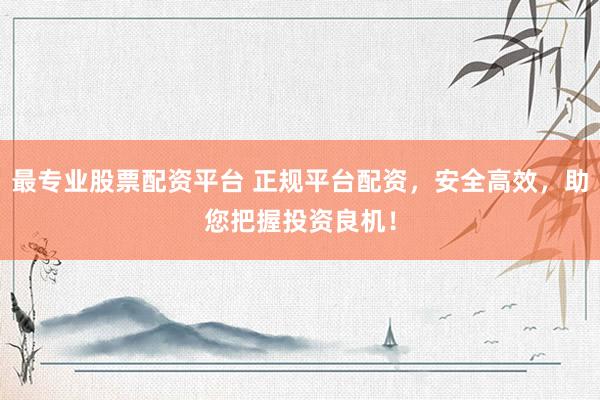 最专业股票配资平台 正规平台配资，安全高效，助您把握投资良机！