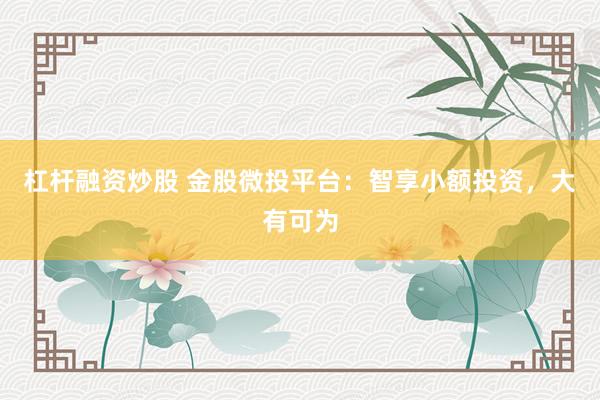 杠杆融资炒股 金股微投平台：智享小额投资，大有可为