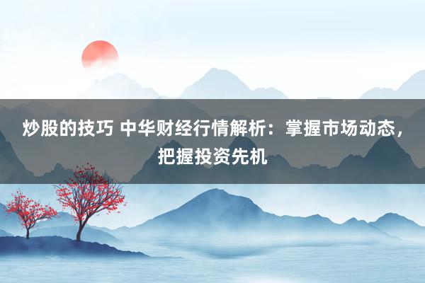 炒股的技巧 中华财经行情解析：掌握市场动态，把握投资先机