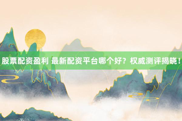 股票配资盈利 最新配资平台哪个好？权威测评揭晓！