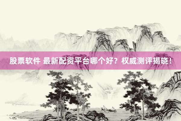 股票软件 最新配资平台哪个好？权威测评揭晓！