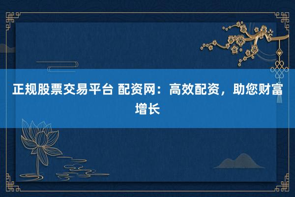 正规股票交易平台 配资网：高效配资，助您财富增长